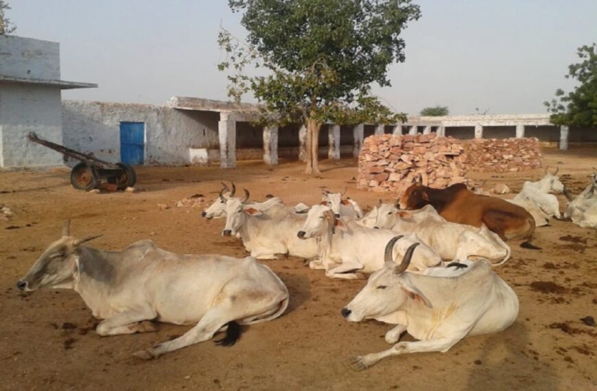 रांची में जंगली जानवर का आतंक: दो महीने से दहशत में ग्रामीण