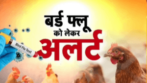 बिहार में बर्ड फ़्लू का प्रकोप: चिड़ियाघर में मुर्गियों को मार गिराया, आगमन अस्थायी रूप से बंद